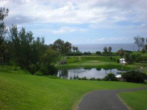 1005481_10200743327285739_1599717323_n