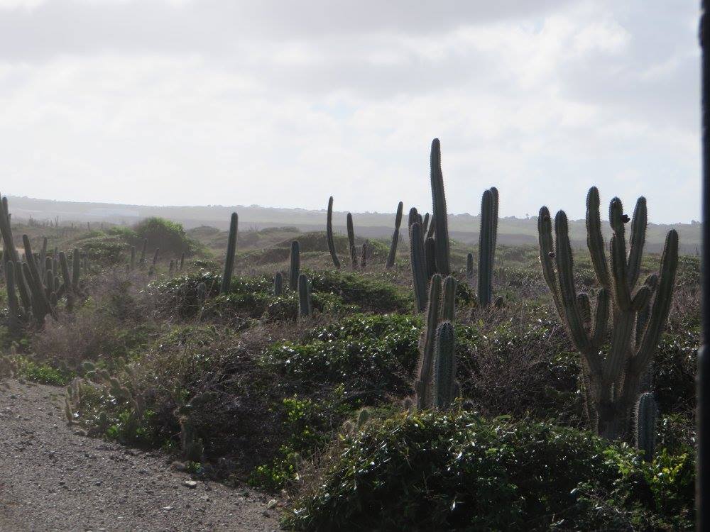 curacao 7.jpg