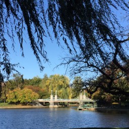 What to Do in Boston