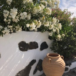 The Ultimate Packing List