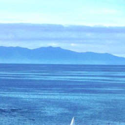 What to Do on Waiheke Island