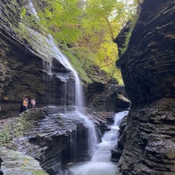 What to do in Watkins Glen (Finger Lakes), NY